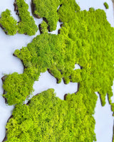 World map of moss cladonia, green map EXCLUSIVE Birdywing™-2