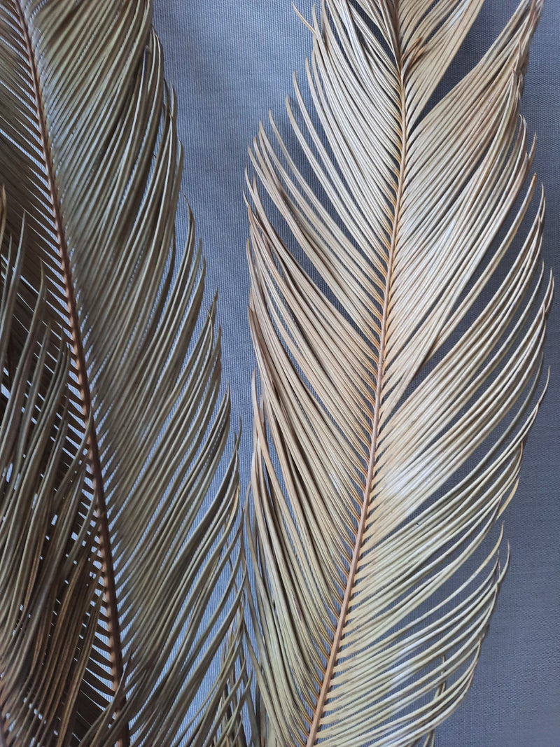 Sorghum palm leaf-3