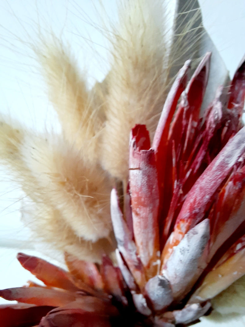 Protea mini dry flower bouquet-2